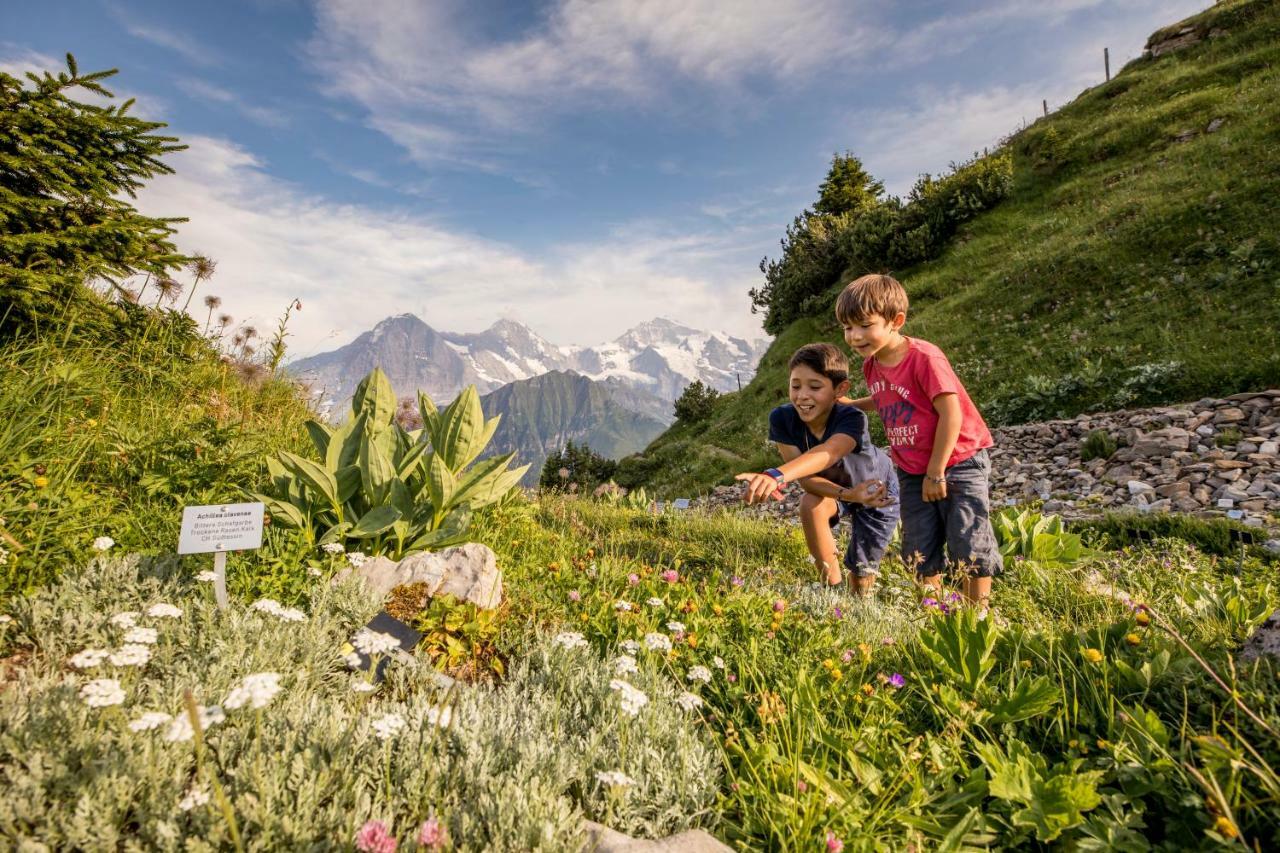 Berghotel Schynige Platte 빌더스빌 외부 사진